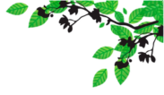 feuillage haut droite