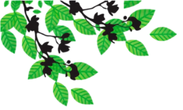 feuillage haut gauche