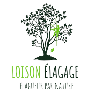 logo Loison élagage vertical
