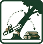 Vignette abattage et démontage arbre
