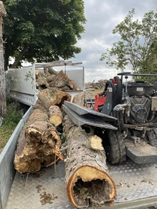 Benne et remorque avec troncs d'arbres