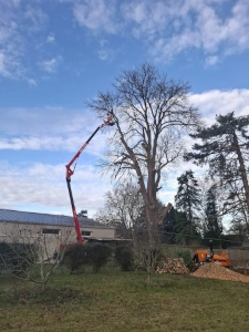 Nacelle sur chenilles automotrice élagage