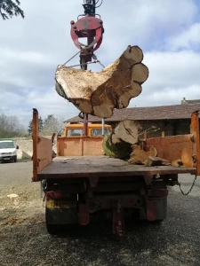 Evacuation bois chantier Manou