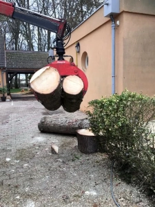 Pince grue buches
