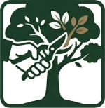 Vignette élagage et soin des arbres