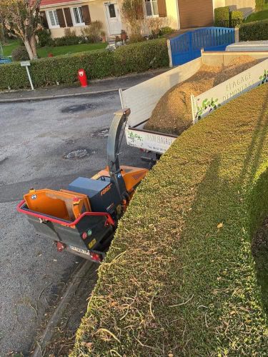 Taille haie et broyage déchets verts